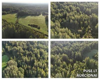 Parduodamas 5.25 ha žemės ūkio paskirties sklypas Ukmergės r. sav., Liūnų kaim., pradinė kaina 9780 EUR