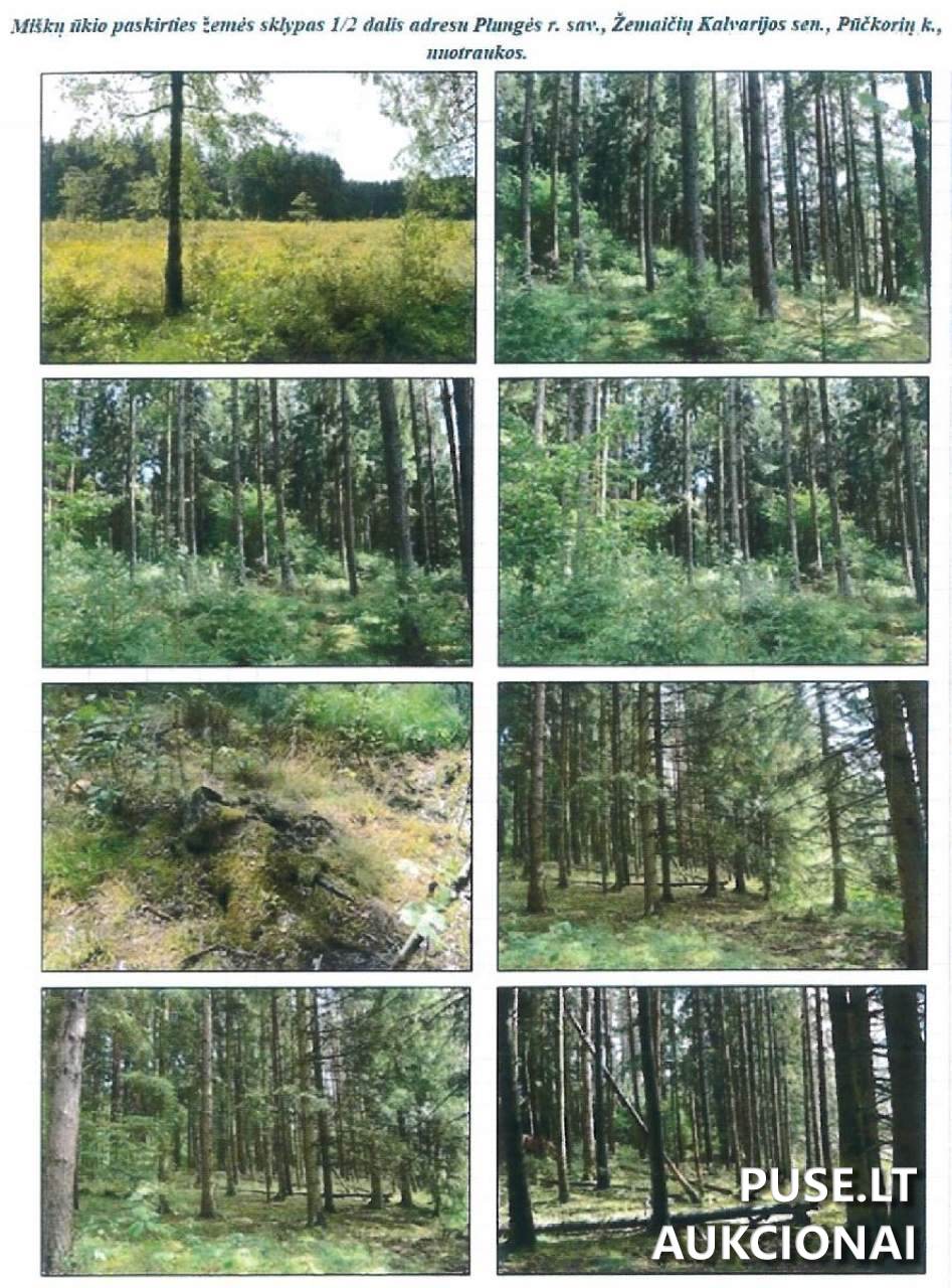 Turtinės teisės į 1/2 dalį žemės sklypo (pagrindas: 2004-04-09 Paveldėjimo teisės pagal įstatymą liudijimas, not. reg. Nr. AR-2360, po skol. tėvo Kazimiero Plataunos mirties paveldimas turtas). Sklypai 1
