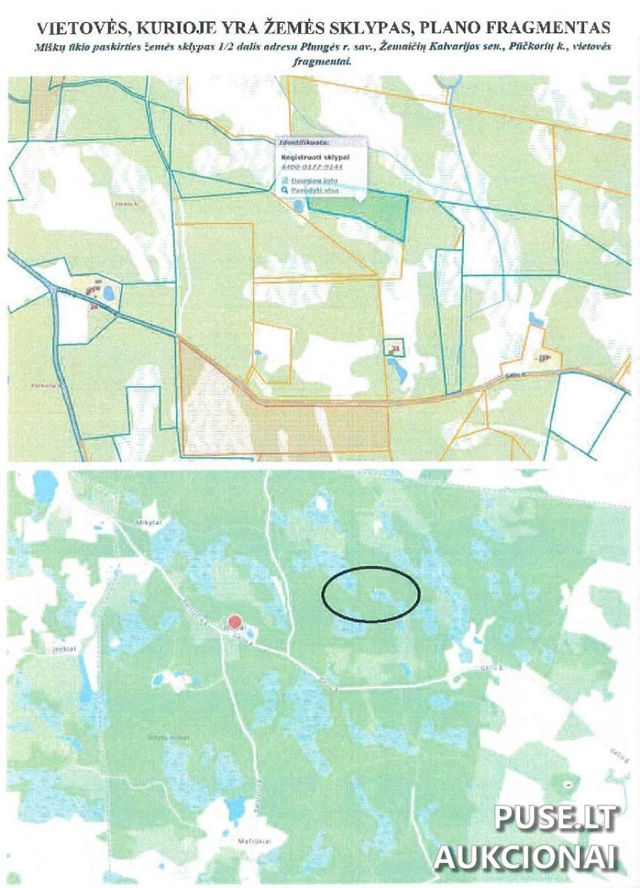 Turtinės teisės į 1/2 dalį žemės sklypo (pagrindas: 2004-04-09 Paveldėjimo teisės pagal įstatymą liudijimas, not. reg. Nr. AR-2360, po skol. tėvo Kazimiero Plataunos mirties paveldimas turtas). Sklypai 2