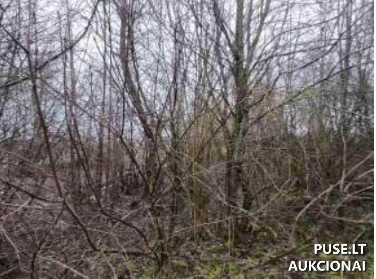 Žemės sklypas Sklypai Aistiškiai, Kalvarijos sav., Lithuania 1