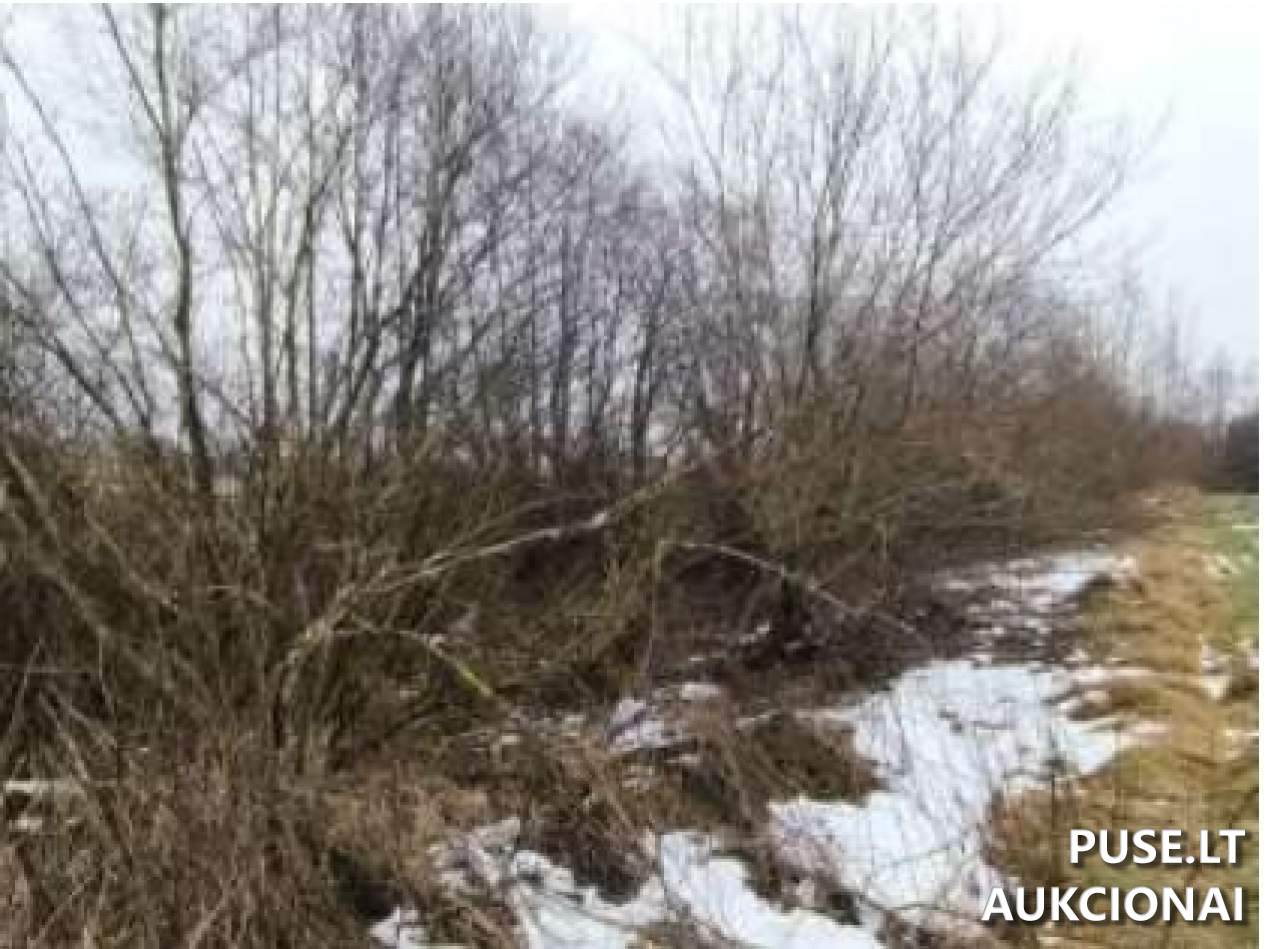 Žemės sklypas Sklypai Aistiškiai, Kalvarijos sav., Lithuania 3