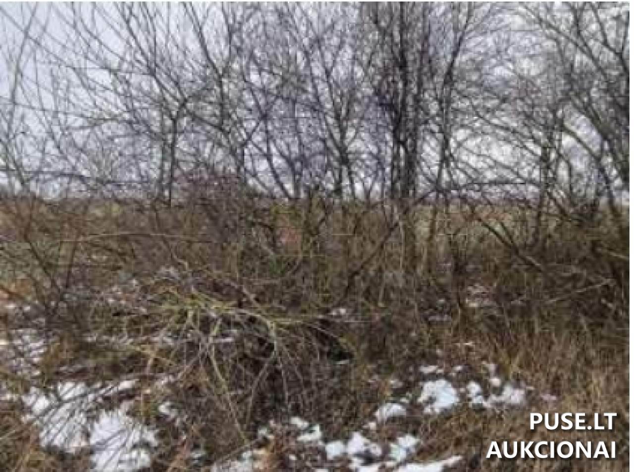 Žemės sklypas Sklypai Aistiškiai, Kalvarijos sav., Lithuania 4