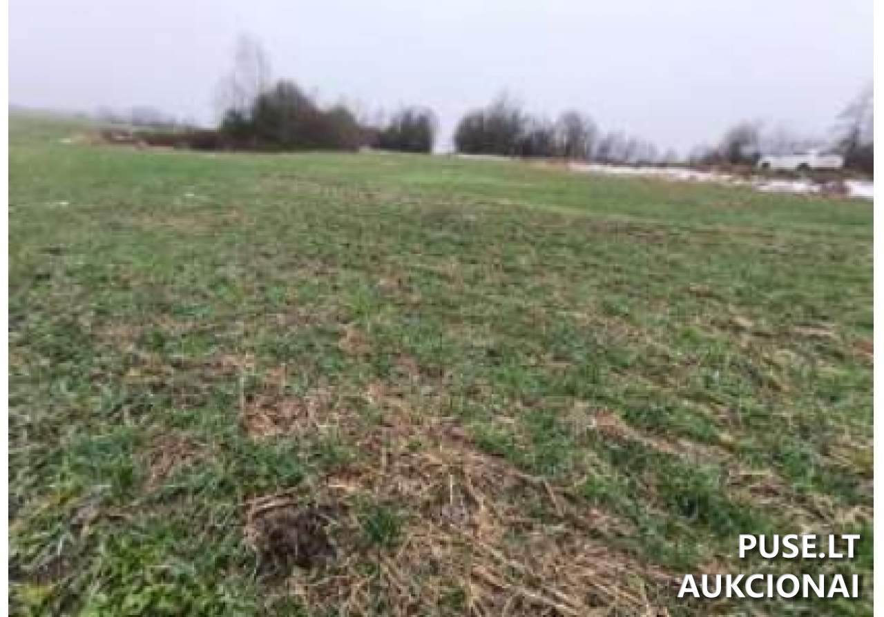 Žemės sklypas Sklypai Aistiškiai, Kalvarijos sav., Lithuania 8