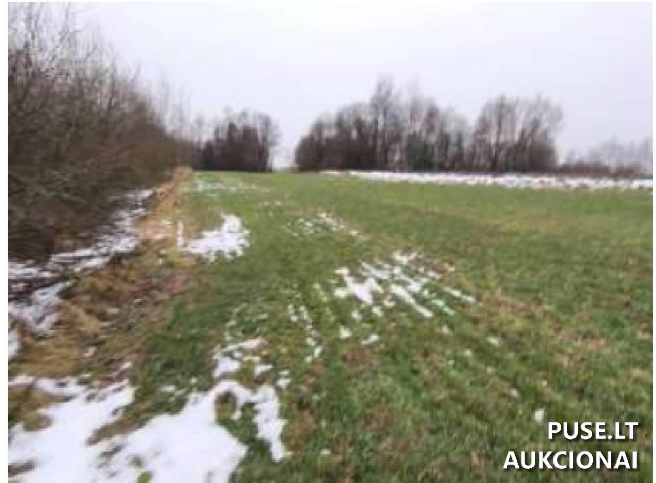 Žemės sklypas Sklypai Aistiškiai, Kalvarijos sav., Lithuania 10