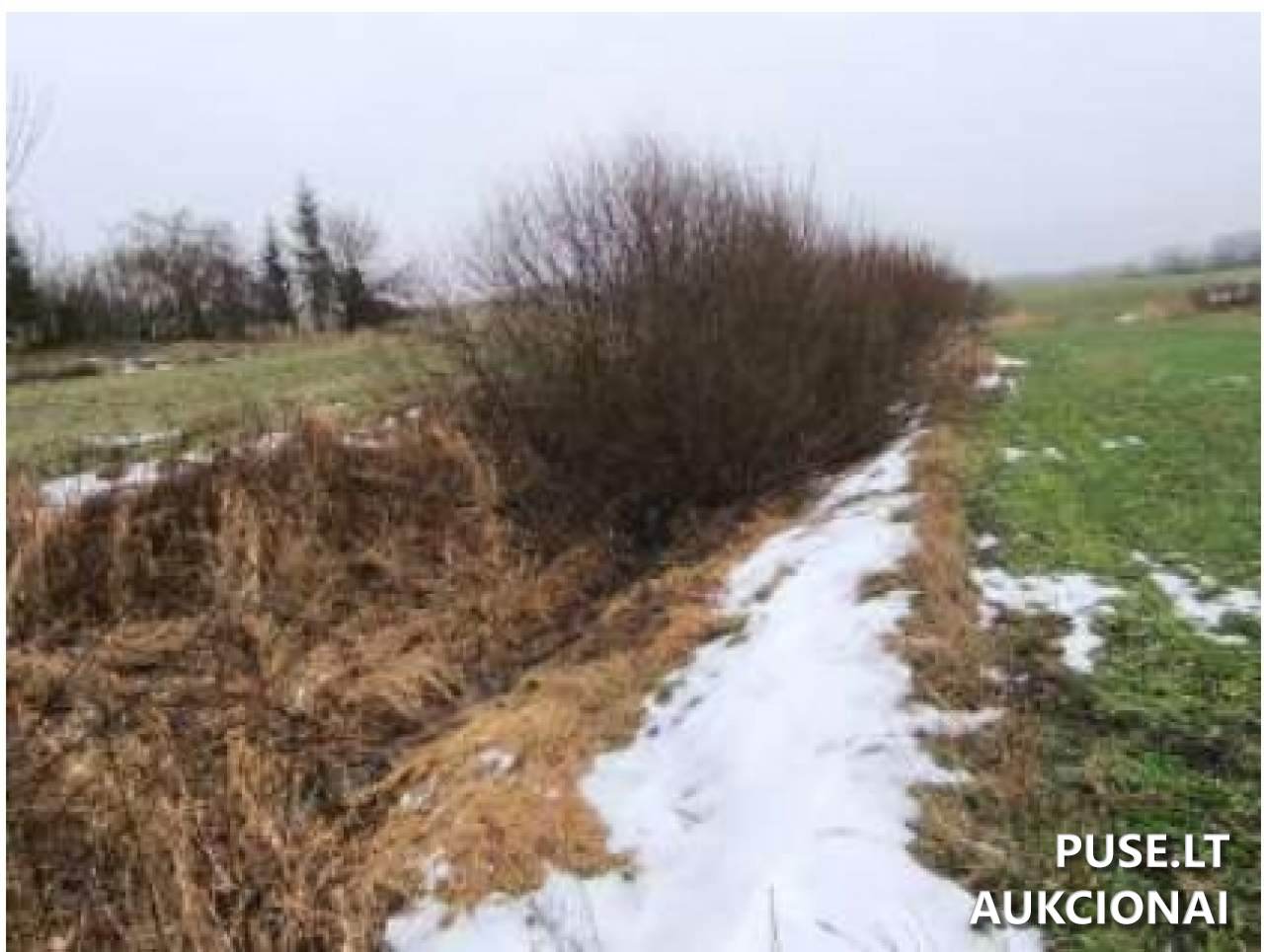 Žemės sklypas Sklypai Aistiškiai, Kalvarijos sav., Lithuania 11