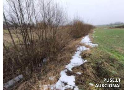 Žemės ūkio paskirties sklypas Kalvarijos savivaldybėje, Aistiškių kaime, pradinė kaina 4000 EUR