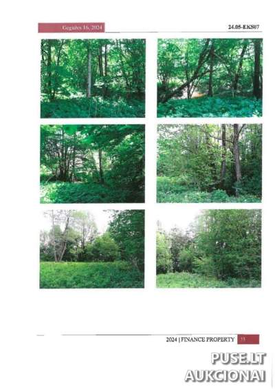 1/2 dalis miškų ūkio paskirties žemės sklypo Alytaus rajone, Paliepių kaime, pradinė kaina 420 EUR