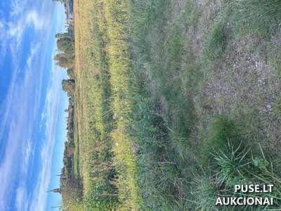 Valstybinės žemės sklypo nuoma Panevėžio r. sav., Ramygalos m. 1713 EUR pradine kaina