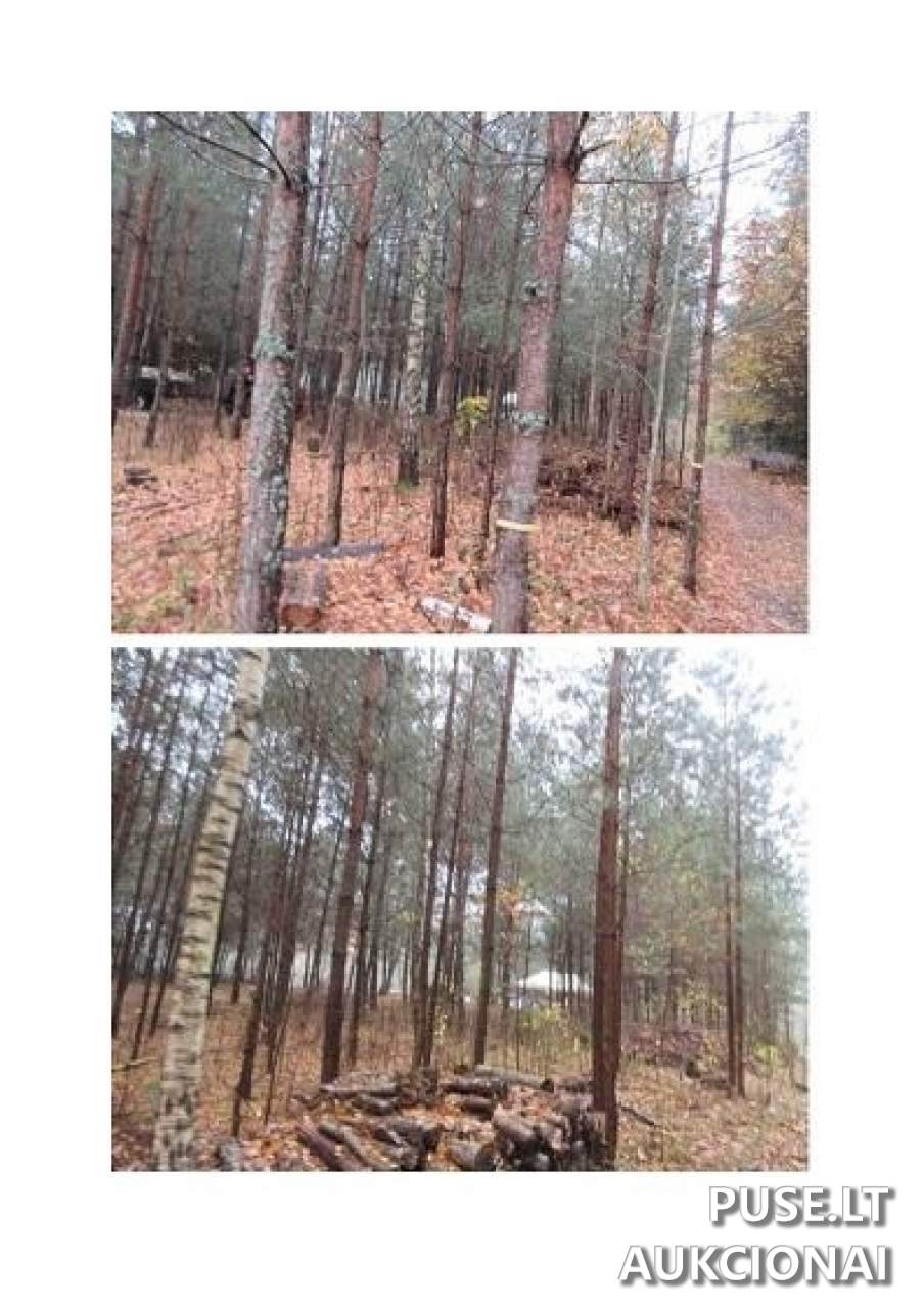 Gyvenamas namas Pastatai Vekonių g., Kruonis, Kaišiadorių r. sav., Lithuania 2