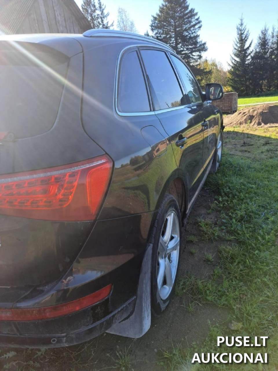 Audi Q5 Lengvasis automobilis 1