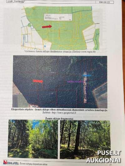 Parduodama 1/2 dalis 5.5 ha miškų ūkio paskirties žemės sklypo Jurbarko rajone Palabaukščių kaime, pradinė kaina 15900 EUR