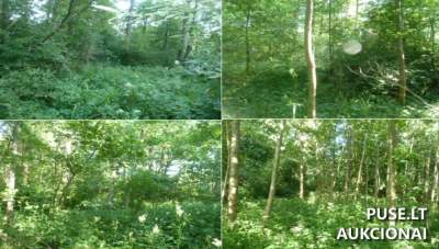 Žemės ūkio paskirties sklypas Vilniaus rajone, Vilkiškiuose, 0.815 ha, pradinė kaina 3392 EUR