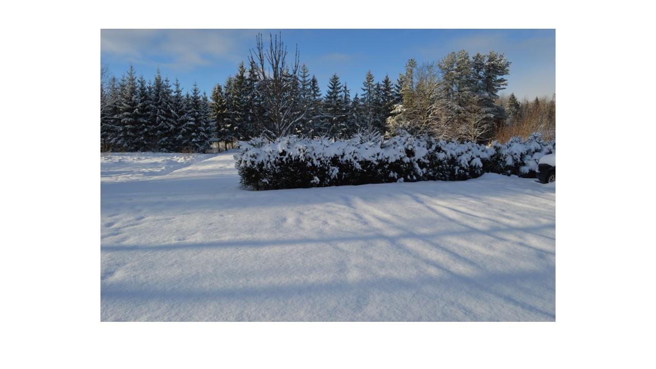 Žemės sklypas Sklypai Telšių gatvė 27A, Rainiai, 88401 Telšių r. sav., Lithuania 1