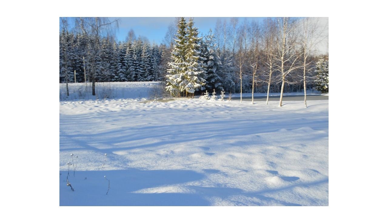 Žemės sklypas Sklypai Telšių gatvė 27A, Rainiai, 88401 Telšių r. sav., Lithuania 2