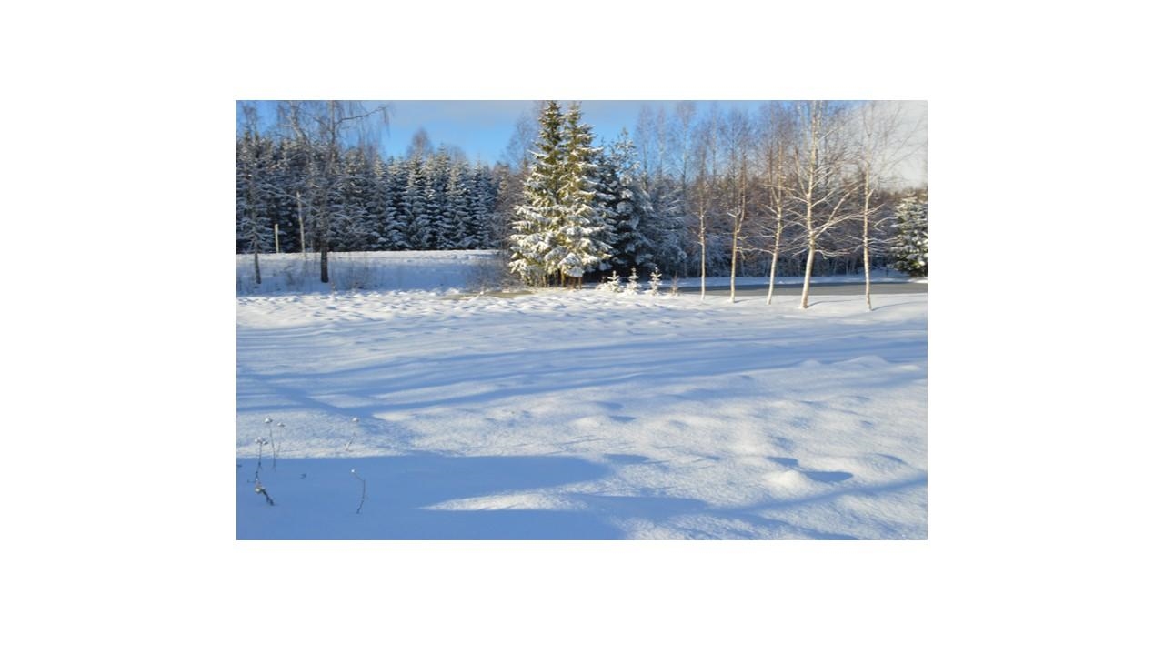 Žemės sklypas Sklypai Telšių gatvė 27A, Rainiai, 88401 Telšių r. sav., Lithuania 4