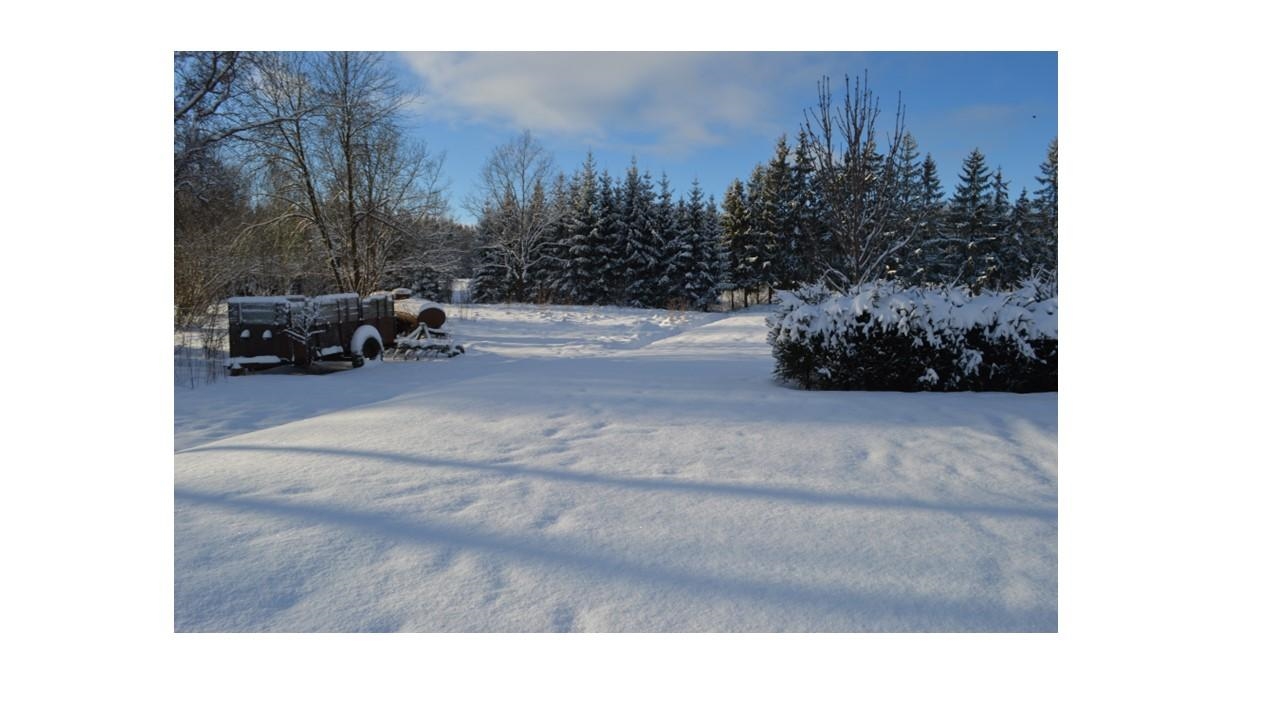 Žemės sklypas Sklypai Telšių gatvė 27A, Rainiai, 88401 Telšių r. sav., Lithuania 6