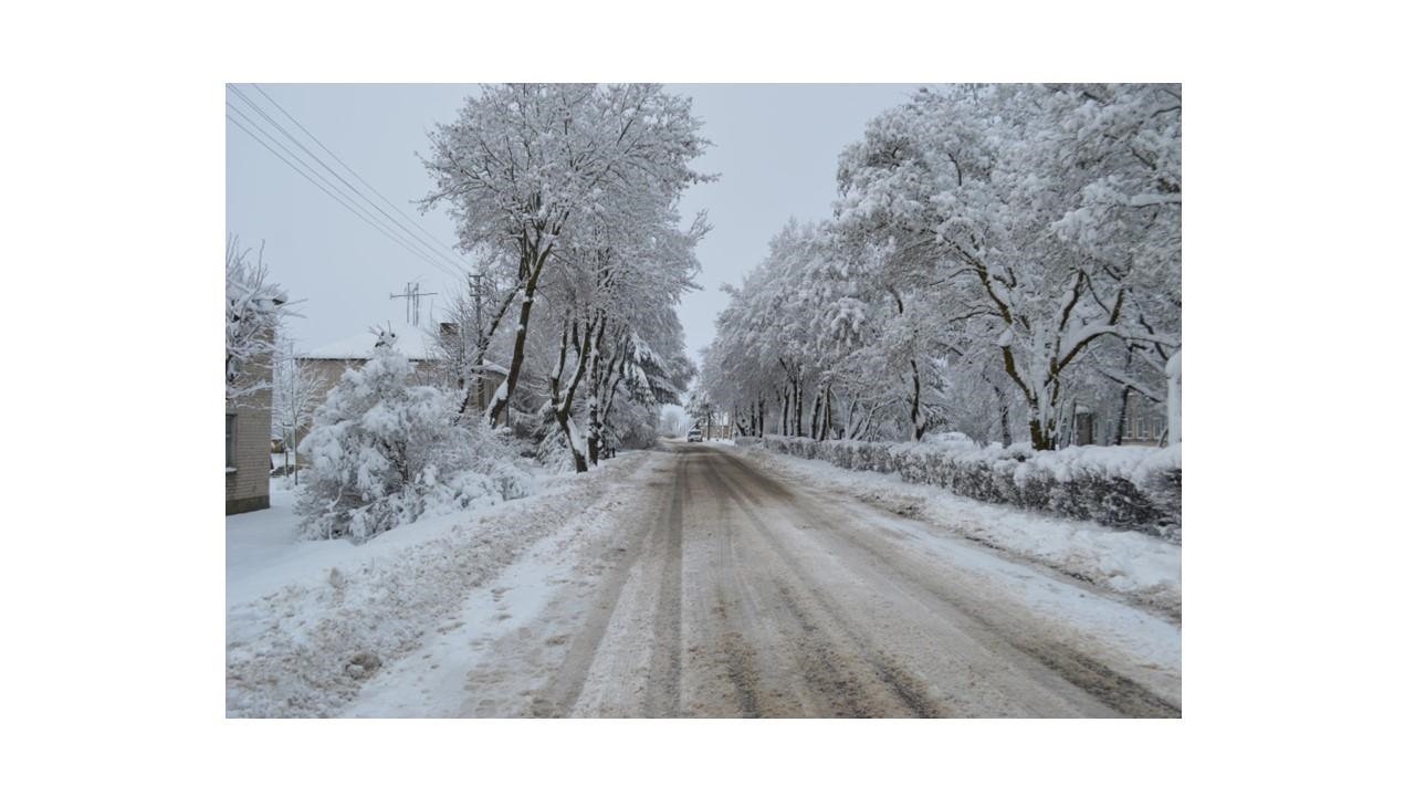 Butas Patalpos/Butai Pavandenė, Telšiai District Municipality, Lithuania 3