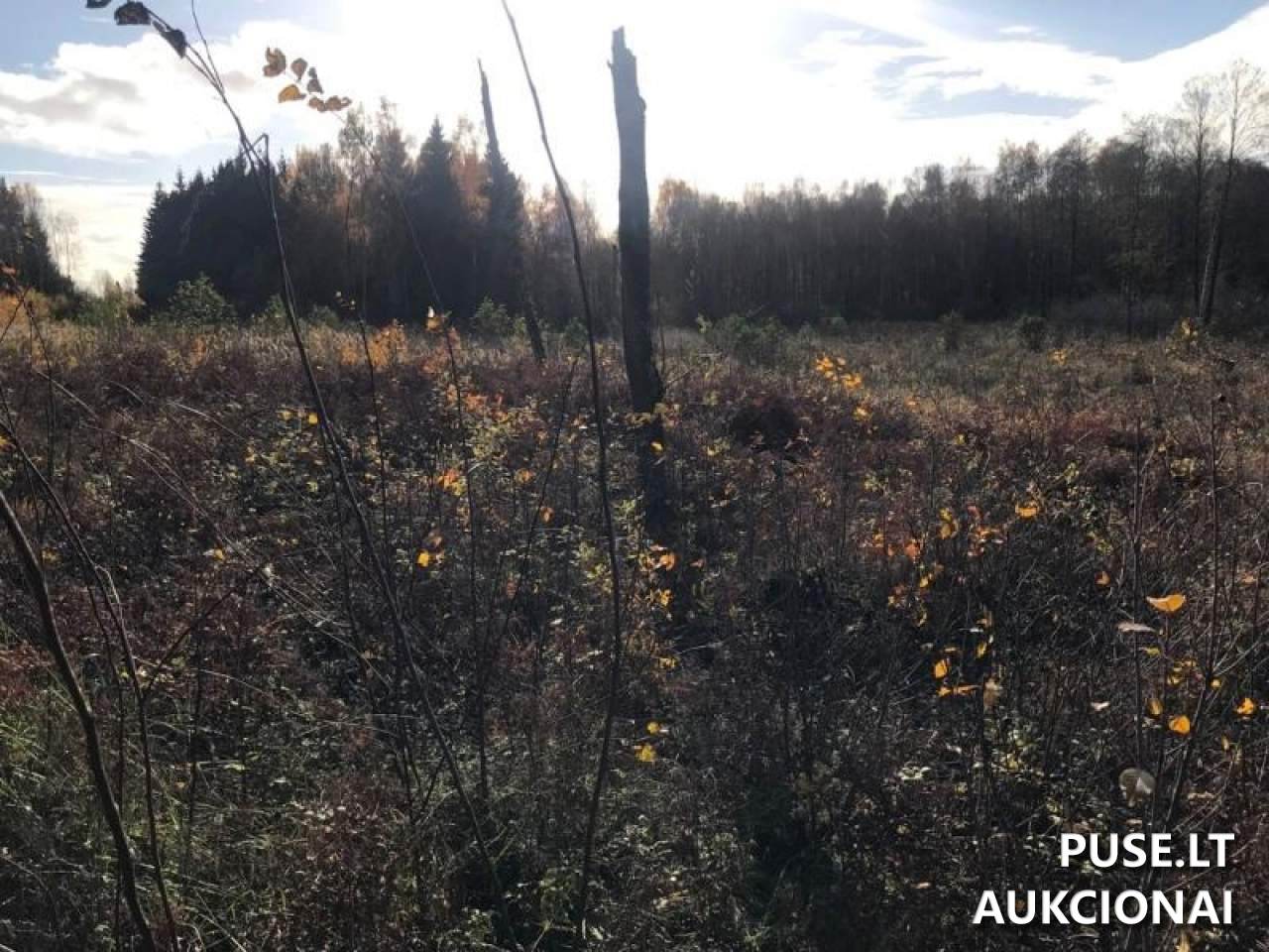 Žemės sklypas Sklypai Beržonkos ež., 21365, Lithuania 7