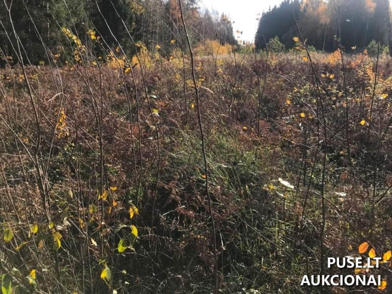 Žemės sklypas Sklypai Beržonkos ež., 21365, Lithuania 8