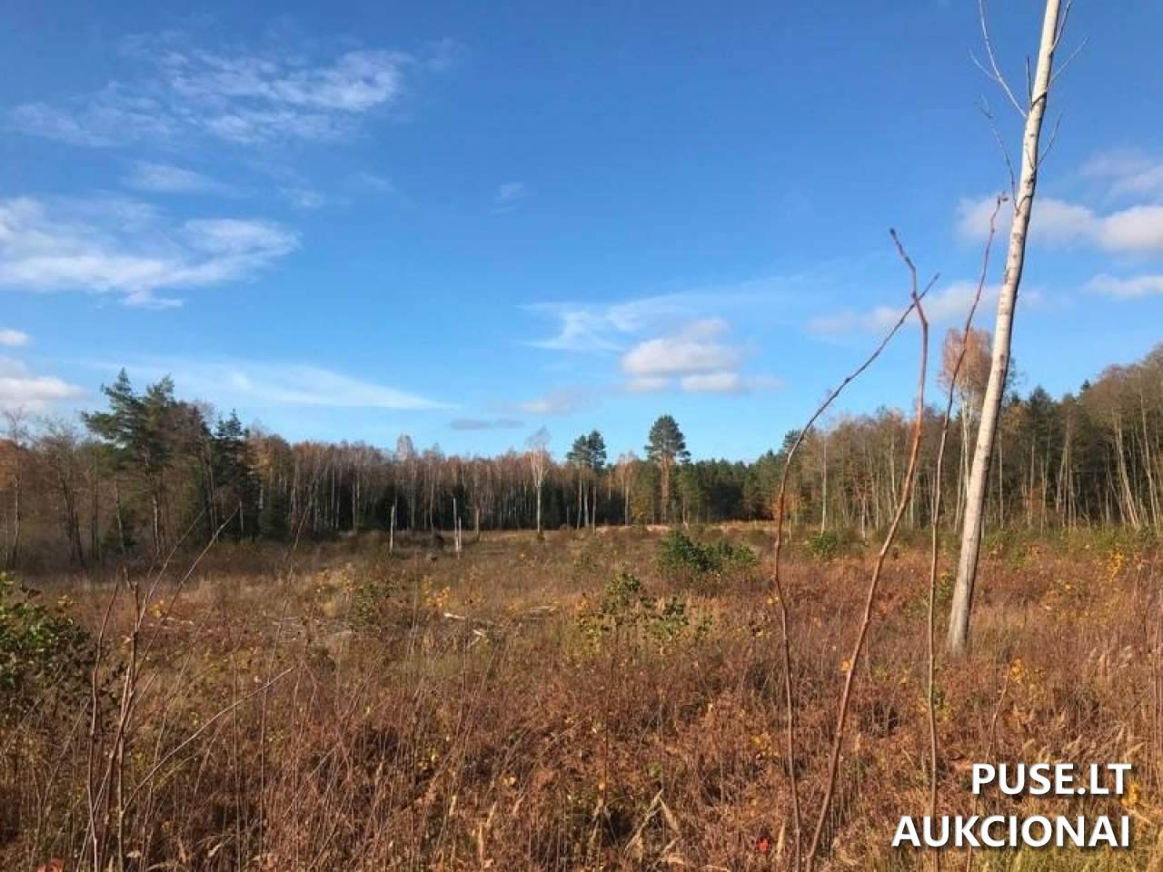 Žemės sklypas Sklypai Beržonkos ež., 21365, Lithuania 10