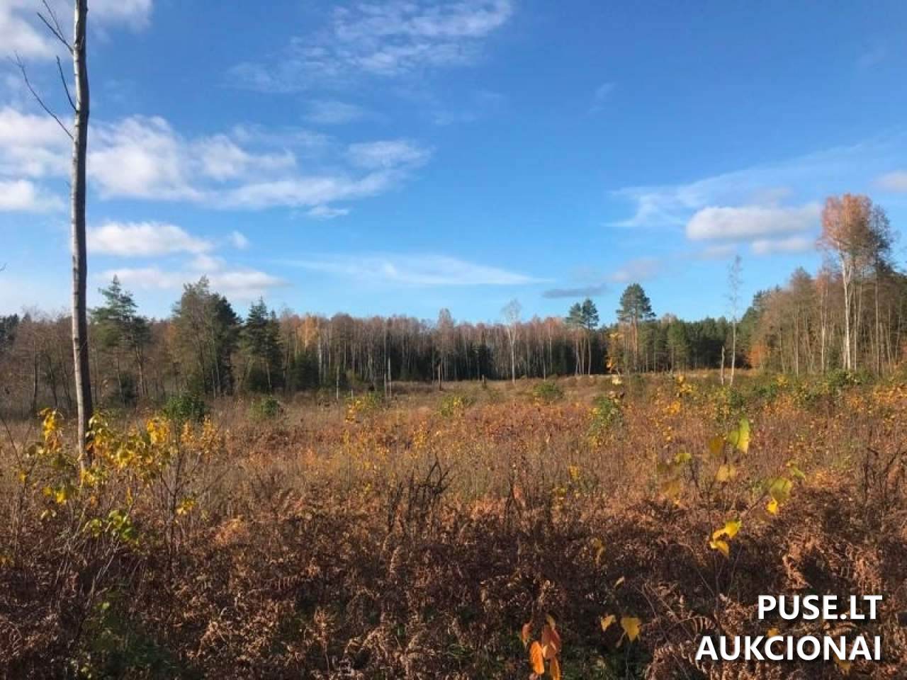 Žemės sklypas Sklypai Beržonkos ež., 21365, Lithuania 16