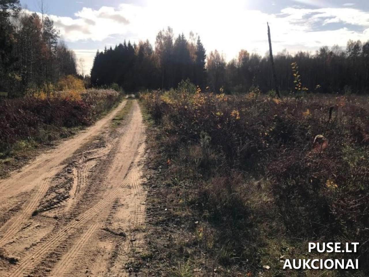 Žemės sklypas Sklypai Beržonkos ež., 21365, Lithuania 23