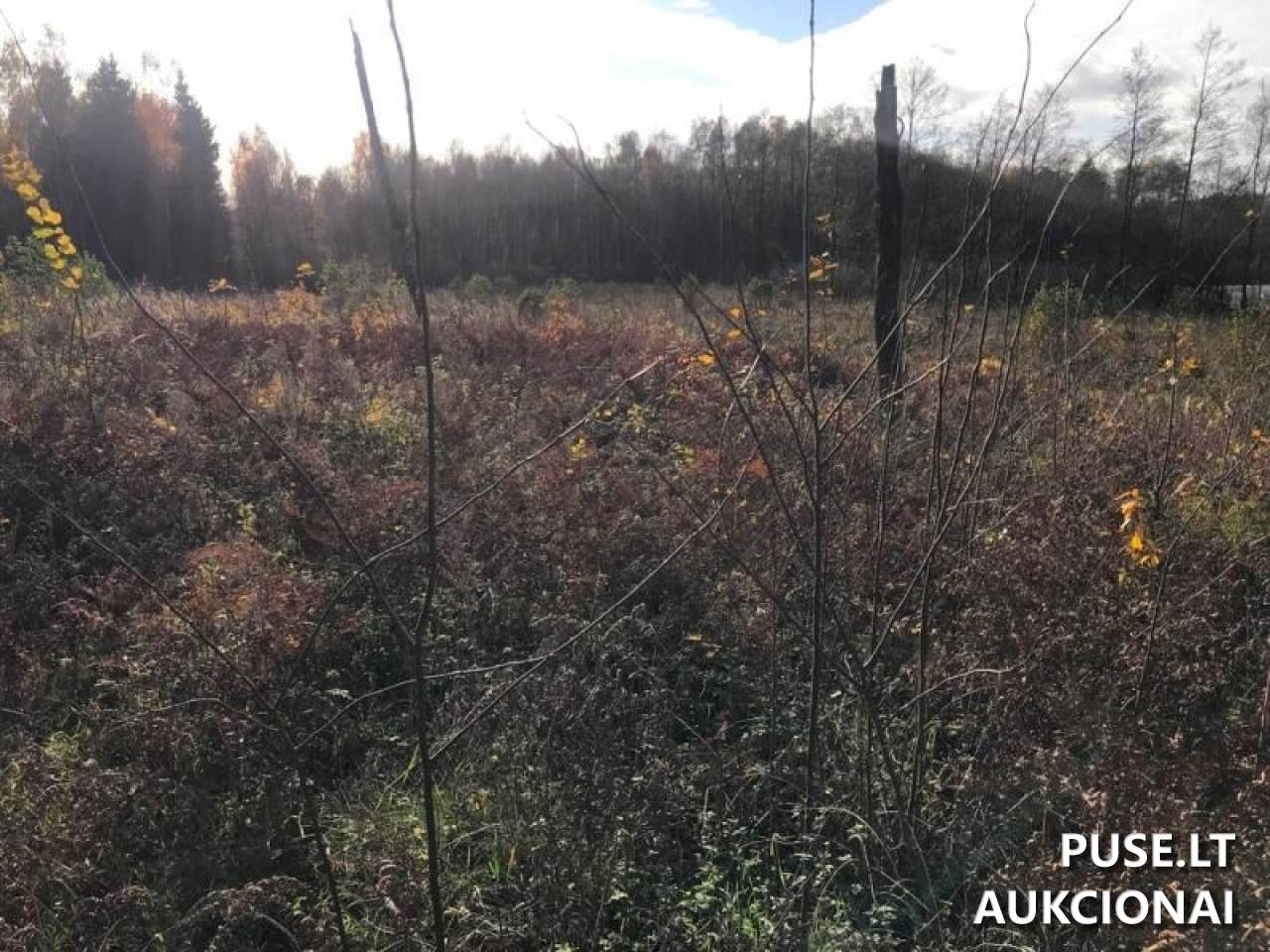 Žemės sklypas Sklypai Beržonkos ež., 21365, Lithuania 25
