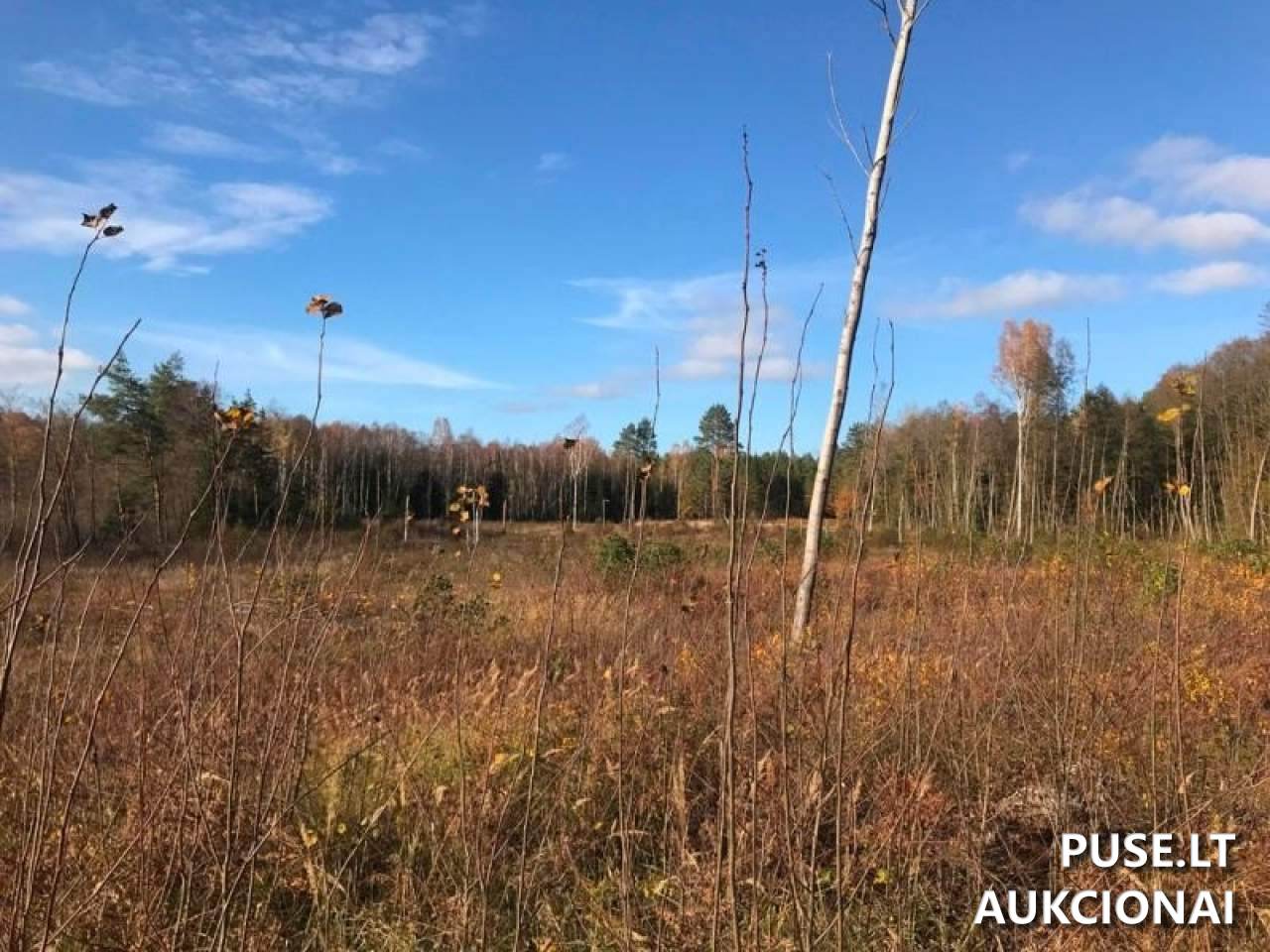 Žemės sklypas Sklypai Beržonkos ež., 21365, Lithuania 26
