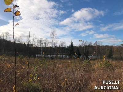 Miškų ūkio žemės sklypas Elektrėnų sav., Beržonkos k., 3.50 ha už 6032 EUR