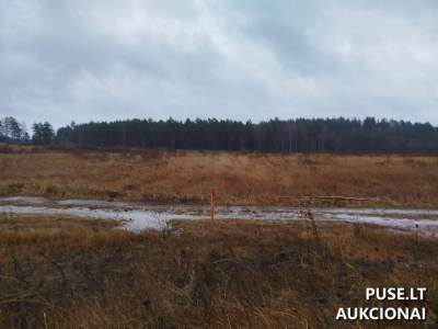 Valstybinis žemės sklypas Visagine, Gervės g. 8, pradinė kaina 8960 EUR - Nacionalinė žemės tarnyba