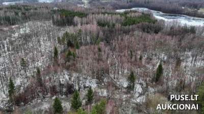 Parduodamas miško žemės sklypas Rokiškio r. sav., Skaistinės k. 5600 EUR pradinė kaina