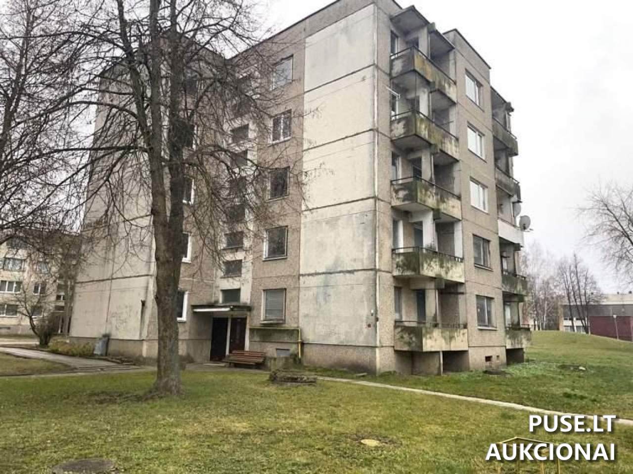 Butas Patalpos/Butai Karalyčios g. 3, 30158 Didžiasalis, Lithuania 7