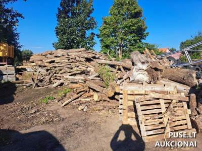 Malkinė mediena aukcione 96 kub.m 1600 EUR pradinė kaina Šilutėje