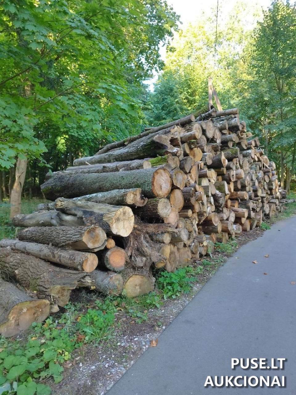 Malkinė mediena Kitas turtas 1