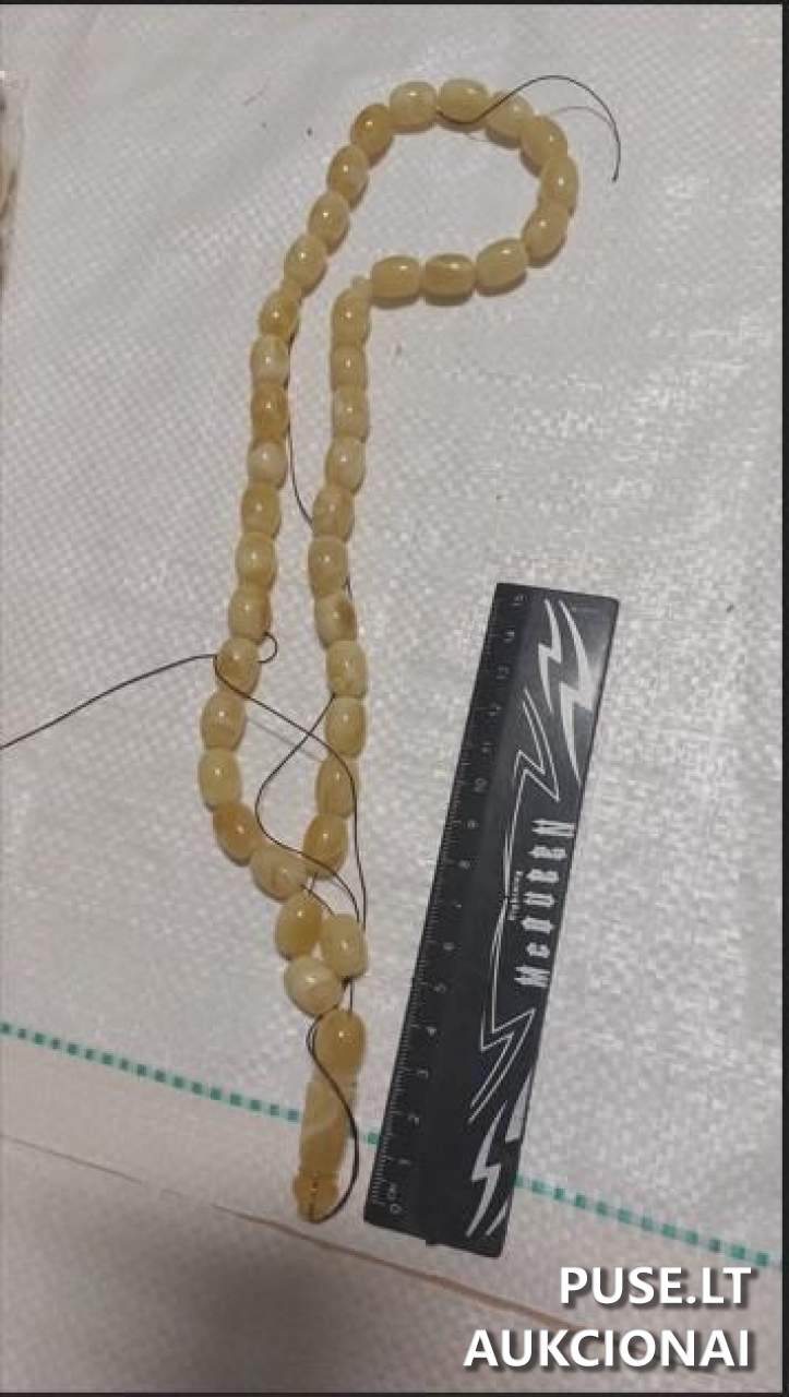 Gintaro žaliava ir įvairus gintaras (viso 77,839  kg.) Kitas turtas 3