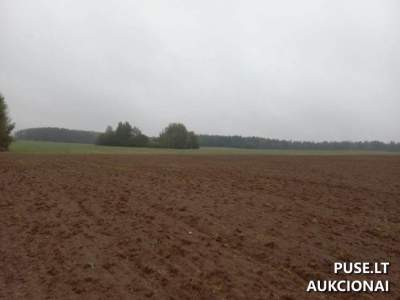 Parduodamas 4.5 ha žemės ūkio paskirties sklypas Vilniaus r. sav. Lobinių kaime už 1740 EUR