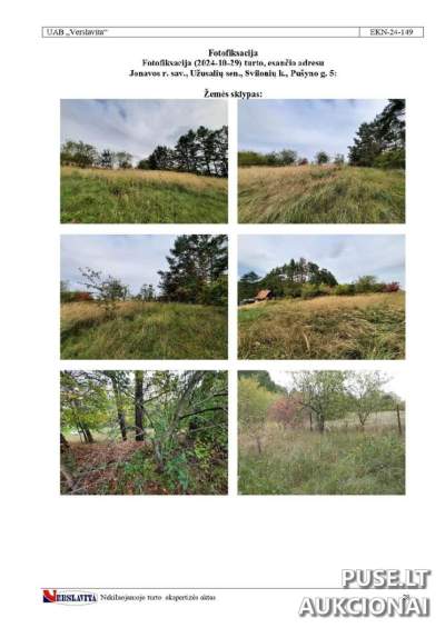 Žemės sklypas Jonavos rajone, Svilonių kaime, Pušyno g. 5, pradinė kaina 6000 EUR