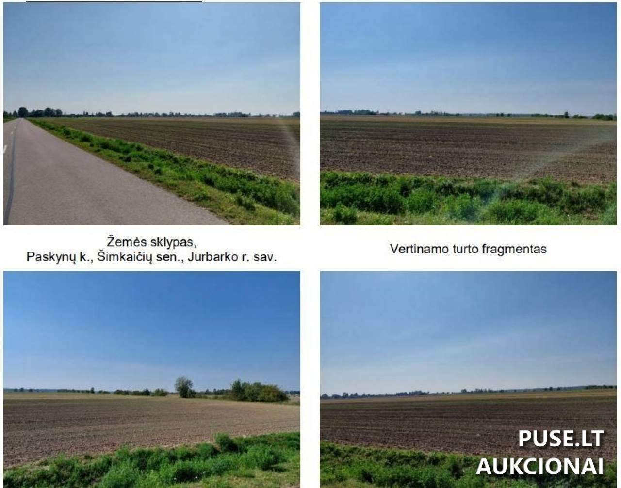 Žemės sklypas Sklypai Paskynų g., Paskynai, 74320 Jurbarko r. sav., Lithuania 1