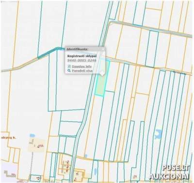 Žemės ūkio sklypas Jurbarko rajone, Paskynų kaime, pradinė kaina 4000 EUR
