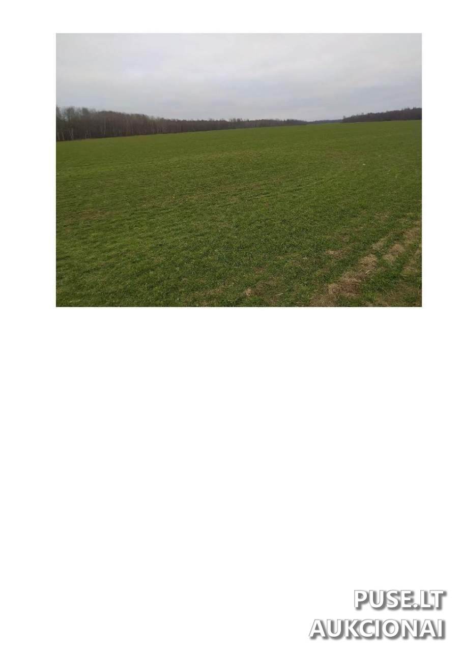 Žemės sklypas Sklypai Pasvalys District Municipality, Lithuania 1