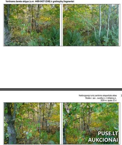 Parduodamas 0.445 ha žemės ūkio paskirties sklypo dalis Šilutės r. sav., Juodžių kaime, pradinė kaina 1248 EUR