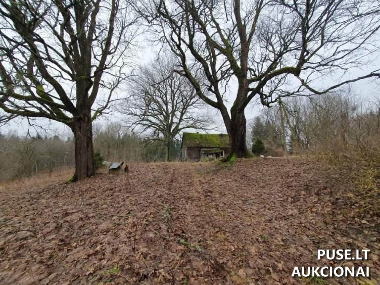Butas Patalpos/Butai Brėvikių g., Gedrimai, 88457 Telšių r. sav., Lithuania 1