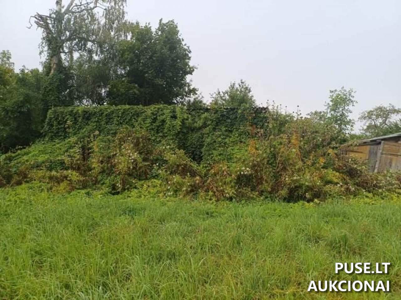 Butas Patalpos/Butai Mokyklos g. 16, 29303 Žiedonių k., Lithuania 5