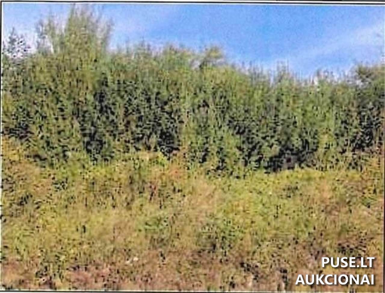 Žemės sklypas Sklypai Užlaukio g. 31, Klaipėda, 91274 Klaipėdos m. sav., Lithuania 1