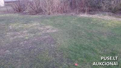 Valstybinis žemės sklypas Šilutės r. sav., Pagrynių k. su 3209 EUR pradine kaina