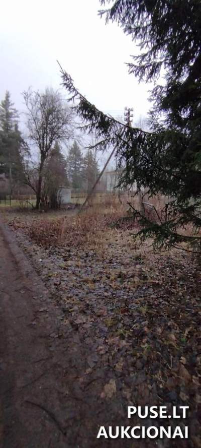 Valstybinės žemės sklypas Zarasų rajone, Raipolės kaime, pradinė kaina 1127 EUR