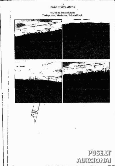Žemės ūkio paskirties sklypo 1/3 dalis Elektrėnų sav., Pakalniškiuose, pradinė kaina 168 EUR