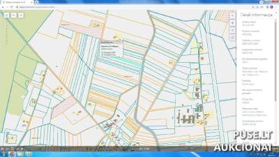 Žemės ūkio paskirties žemės sklypas Panevėžio rajone, Raguvos seniūnijoje, pradinė kaina 1240 EUR