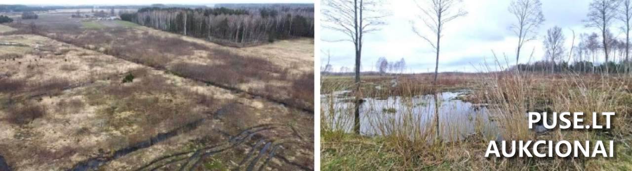 Žemės sklypas Sklypai Vanagai, Klaipėda District Municipality, Lithuania 1