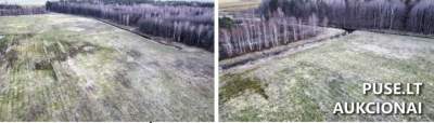 Žemės ūkio paskirties sklypas Klaipėdos rajone, Kantvainų kaime, 23200 EUR pradinė kaina